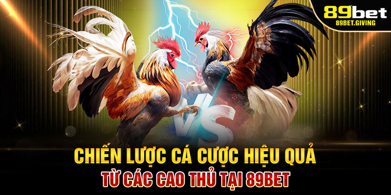 Chiến Lược Cá Cược Hiệu Quả Từ Các Cao Thủ Tại 89BET